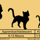 Illustration for article titled Cats is a Flat Circle